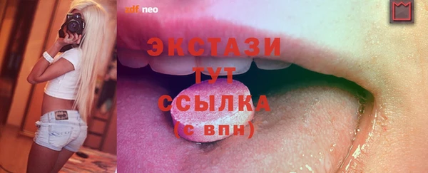 прущий лед Новозыбков