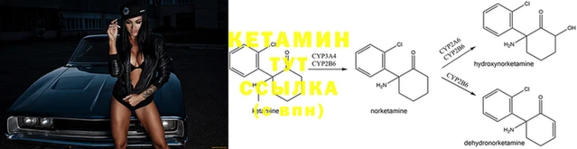 амфетамин Новодвинск