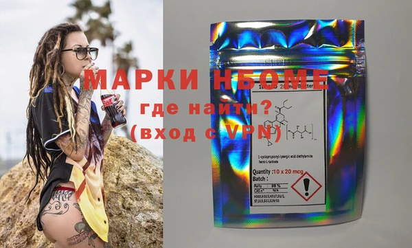 прущий лед Новозыбков