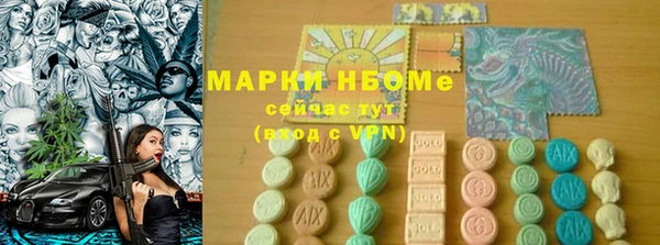 прущий лед Новозыбков
