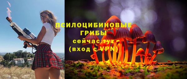 амфетамин Новодвинск