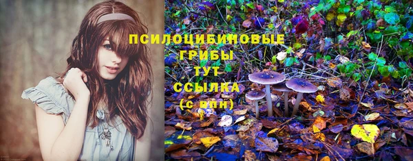 амфетамин Новодвинск