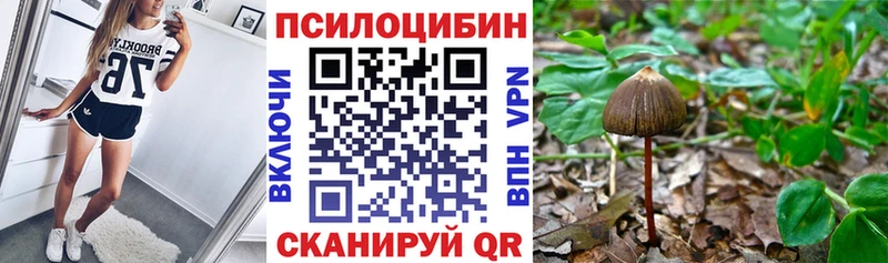 Псилоцибиновые грибы мицелий  купить наркотик  Сергач 